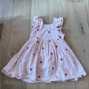 Pink Chicken Strawberry girl dress